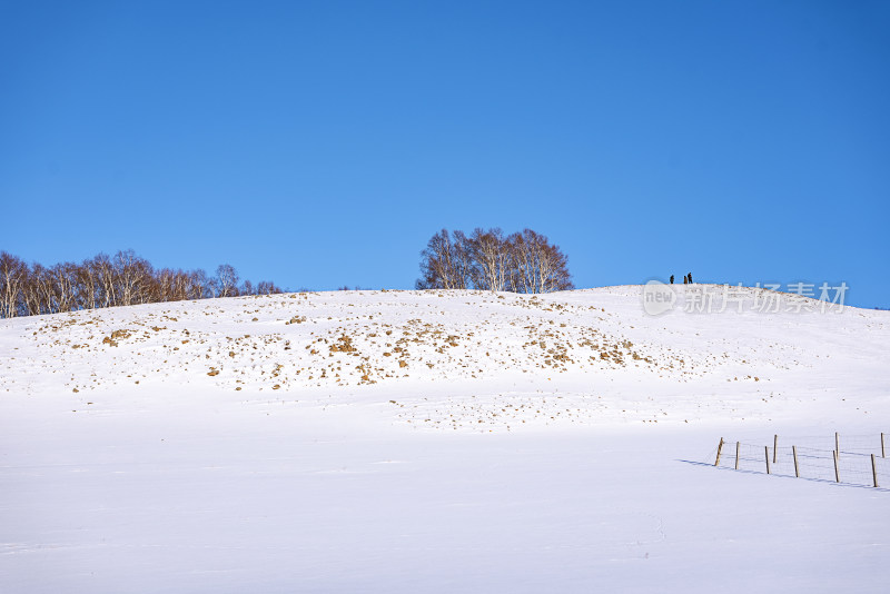 冬季户外草原雪景