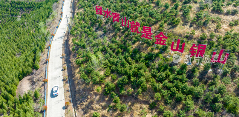 绿水青山就是金山银山荒山绿化环境保护