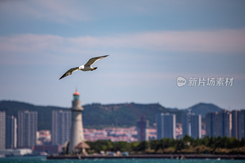 山东威海灯塔景点海滨风光