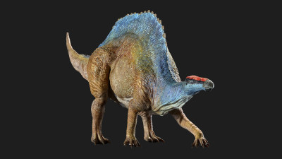 大型食肉恐龙 远古恐龙 侏罗纪白垩纪