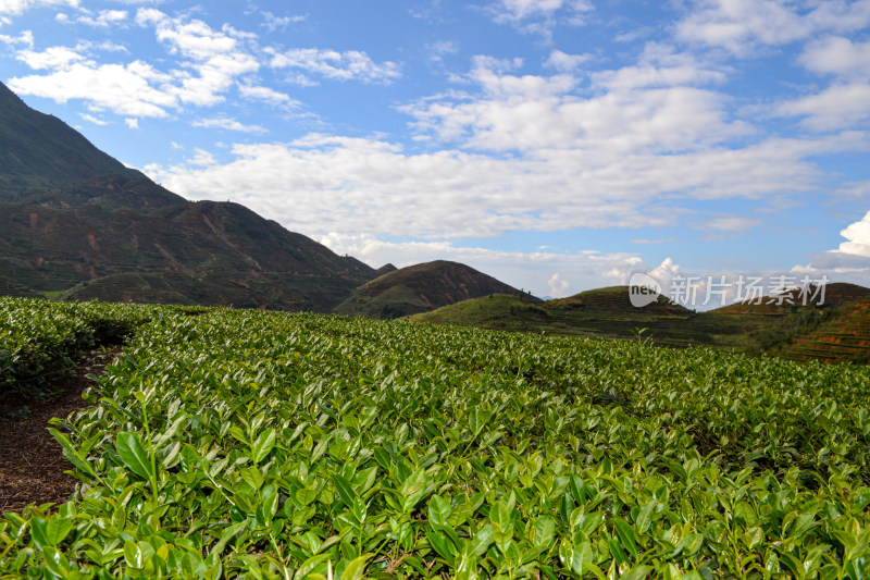 山林间的全景