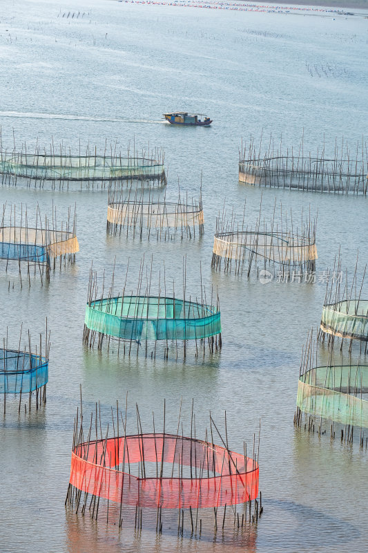 福建宁德霞浦县城红树林湿地涂滩海边景观