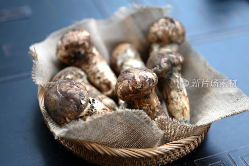 甘孜州野生松茸