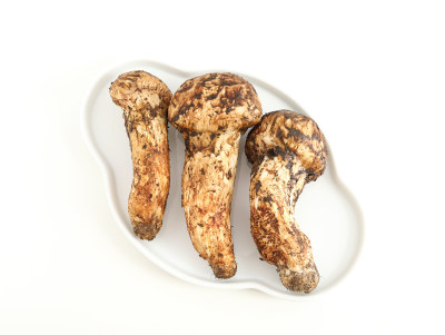 白色桌面上摆放着的新鲜云南特产美食松茸