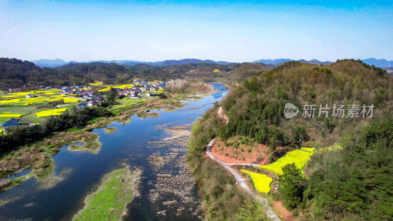 山川河流油菜花航拍