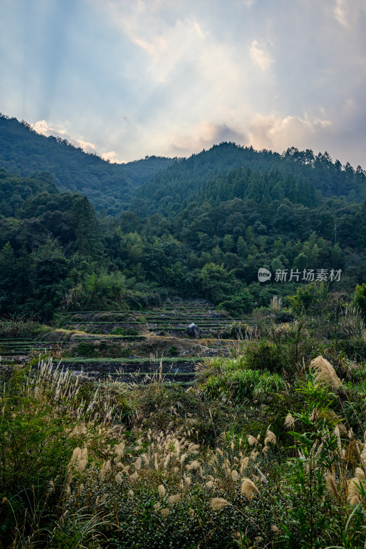 山间梯田自然风光