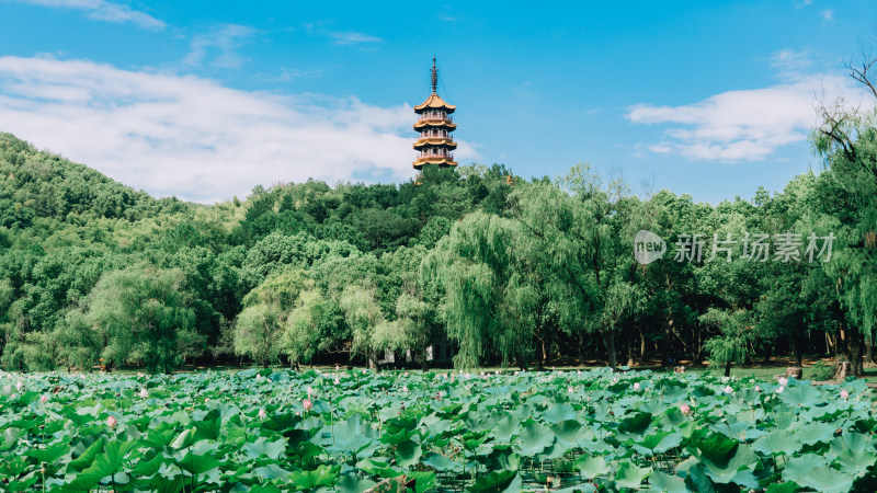 宁波天下玉苑景区