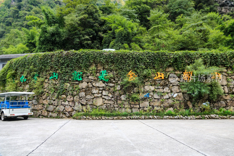 湖北宜昌三峡竹海风景区，自然风光，竹海