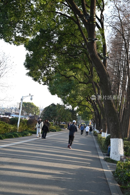 公园内行人散步慢跑场景