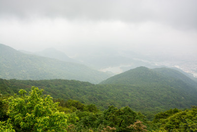 东莞清溪森林公园