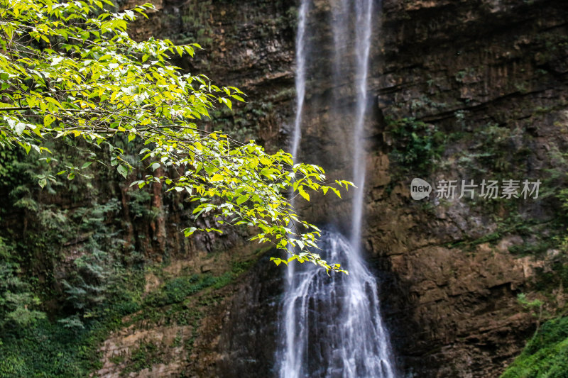 湖北宜昌三峡竹海风景区，自然风光，竹海