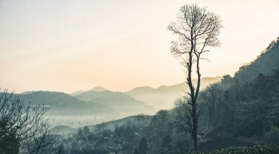 自然风景