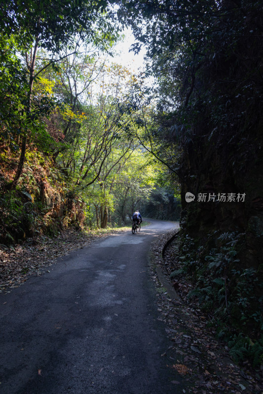 林间小道上独自骑行