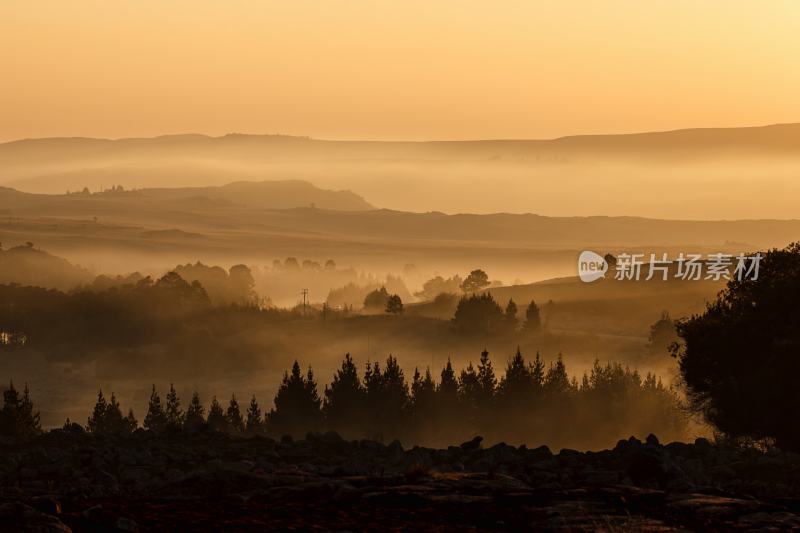 大自然森林树木旅行徒步野营