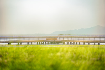 宁波东钱湖湖畔风光