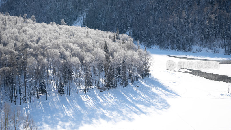 新疆森林雪景