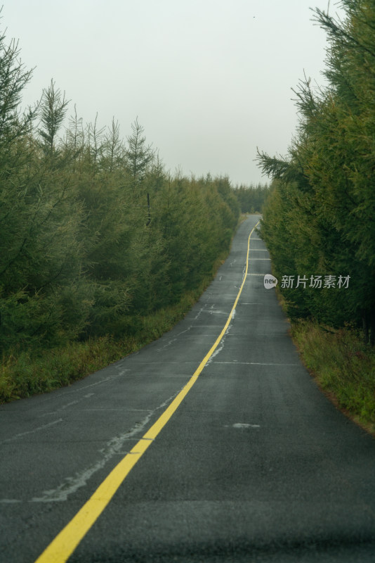 张家口草原公路林间公路