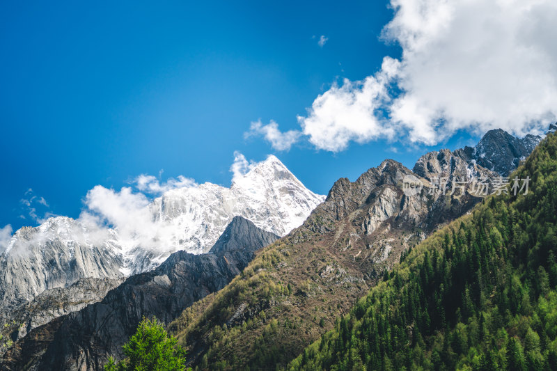 四姑娘山