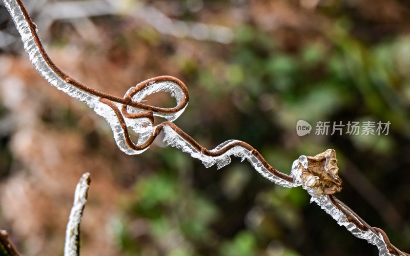 重庆酉阳：一场冰冻游客“醉”