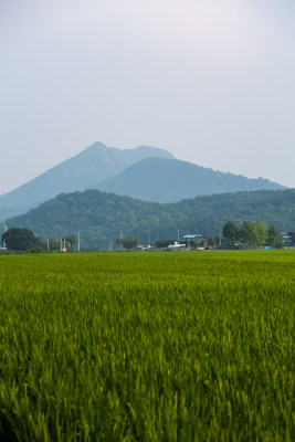 韩国南原乡村农田