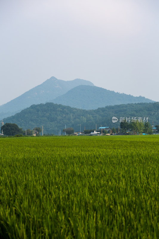 韩国南原乡村农田