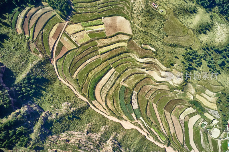 高山上的梯田