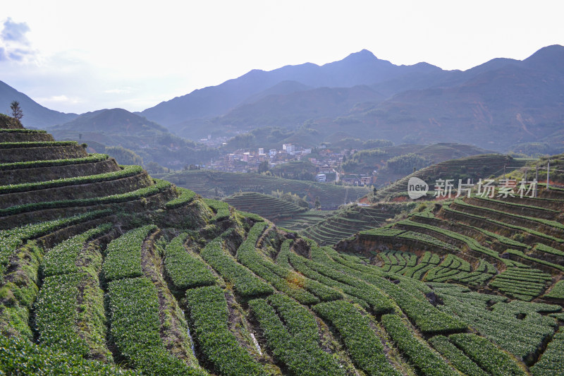 山林间的全景