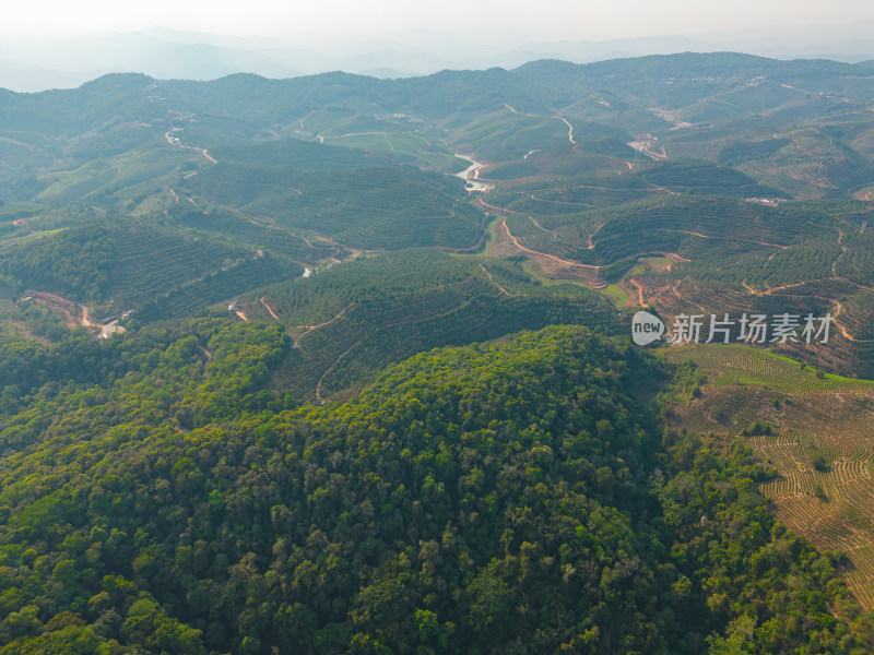 航拍山脉山林