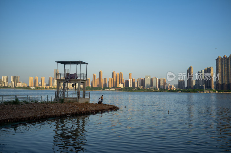 城市高楼背景下的湿地自然景观