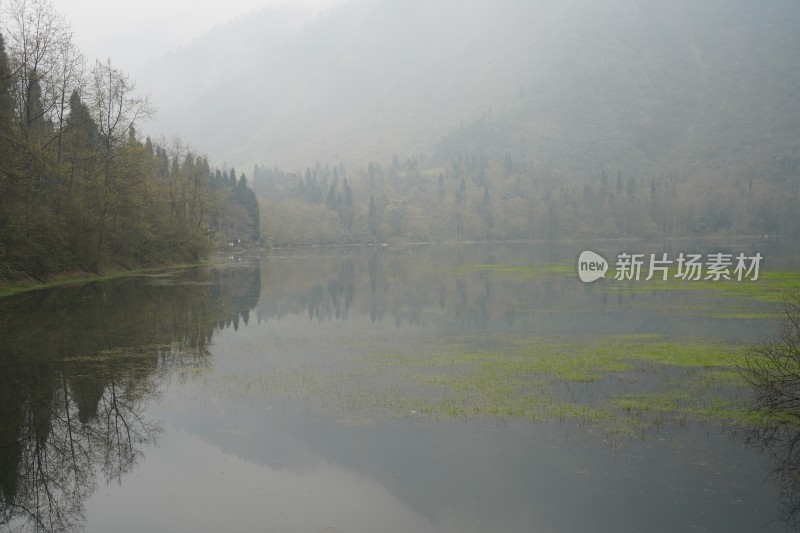 四川成都都江堰龙池景区