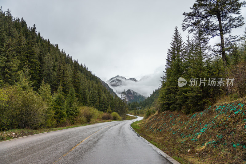 雪山森林里的公路