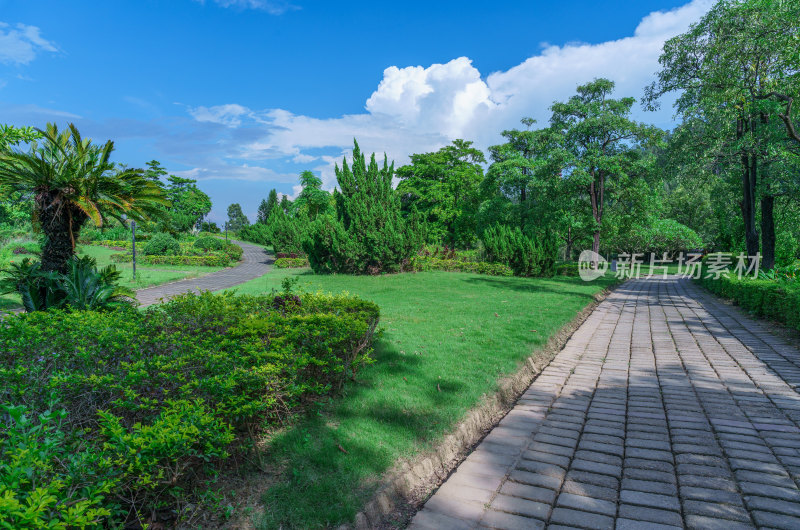 广州南沙蒲洲花园城市公园园林景观设计