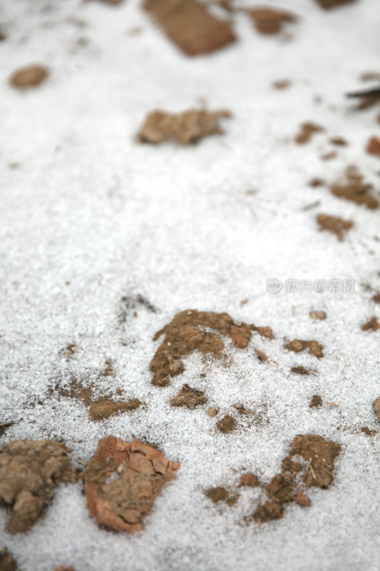 土地上遗留的残雪