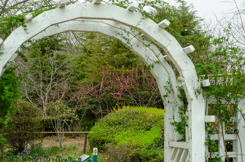 青岛中山公园植物园