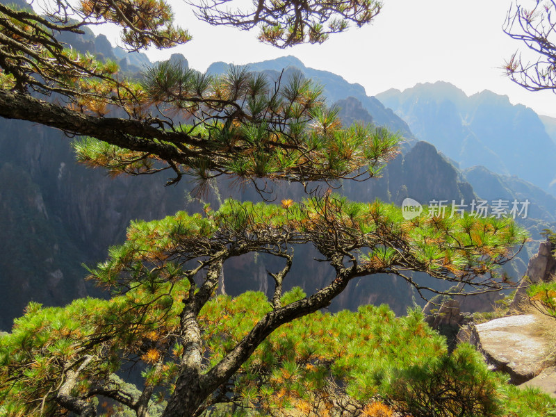 中国安徽黄山旅游风光