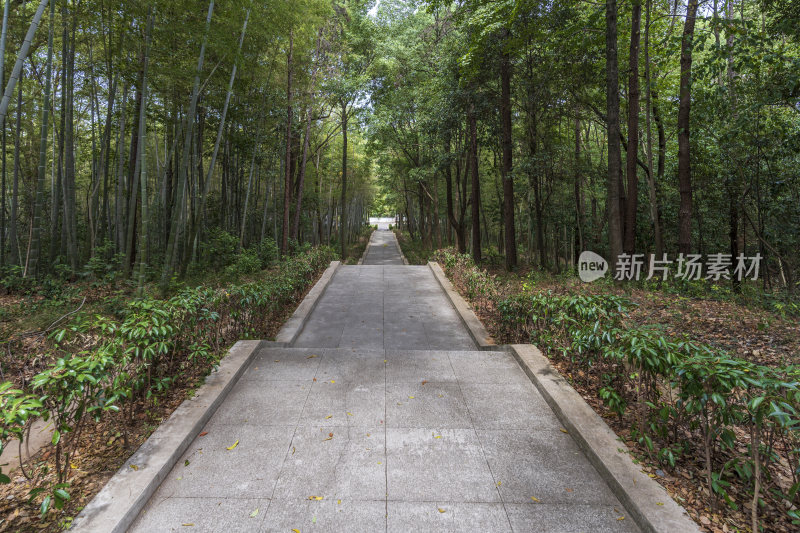 武汉江夏区熊廷弼公园项英广场风景