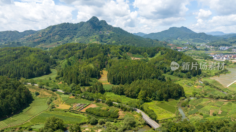 航拍武夷山绿色农田与茶园