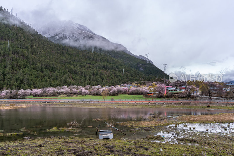 西藏林芝地区藏王故里桃花沟云雾高原村庄