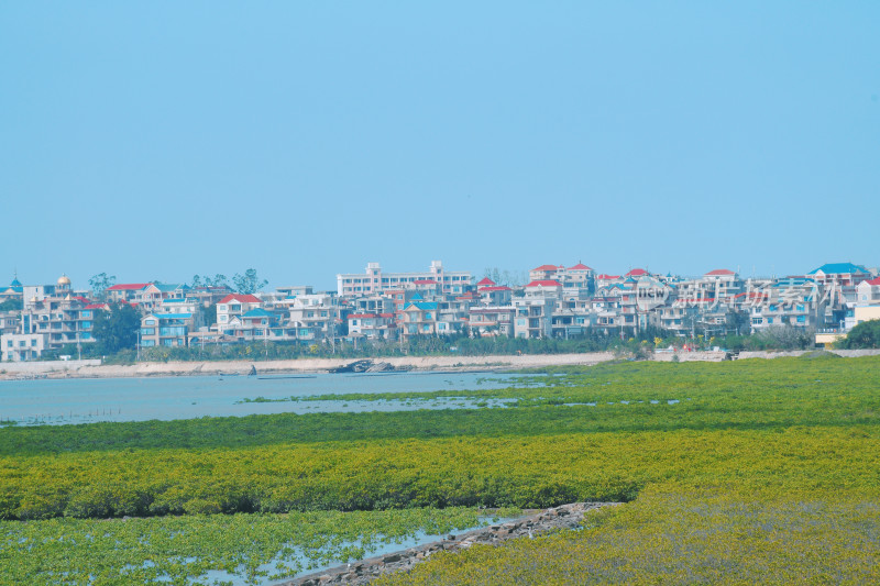 湄洲岛海边