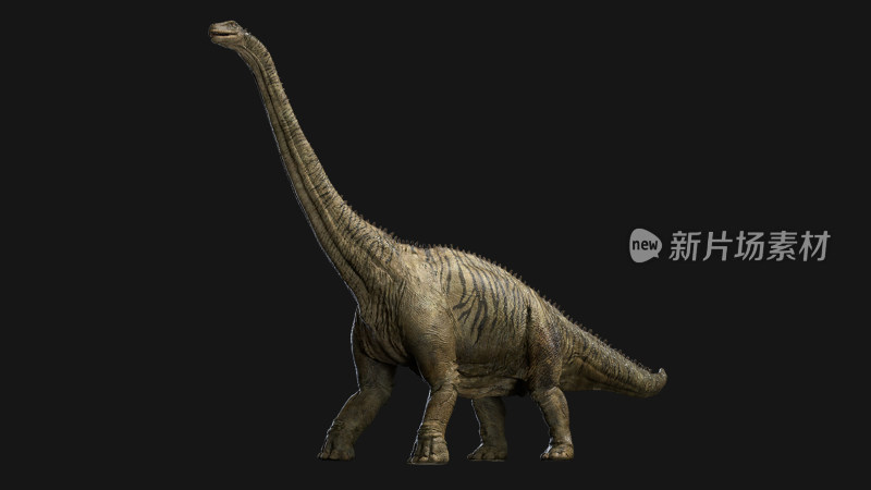 恐龙 侏罗纪 长颈龙