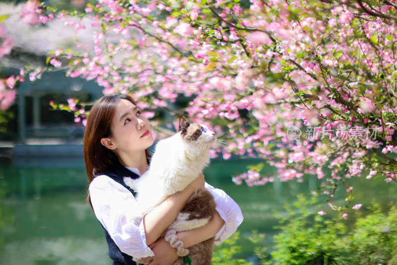 美女抱着宠物猫 春日赏花