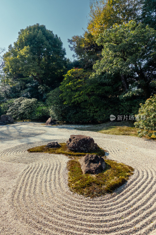 侘寂 枯山水 日式庭院 庭院