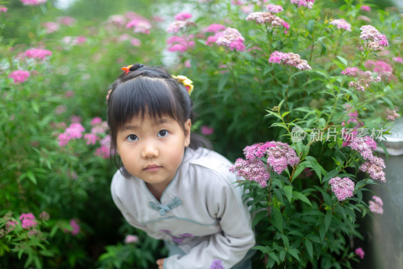 花丛里的漂亮小女孩 赏花看海闻花