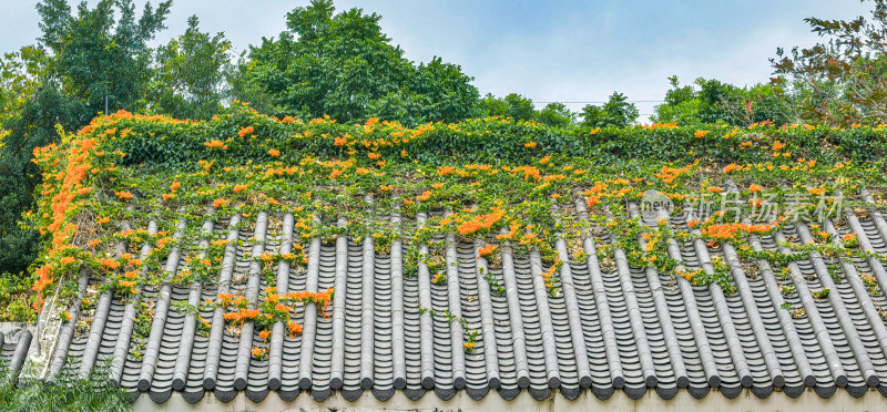 中国传统建筑屋檐上的鲜花