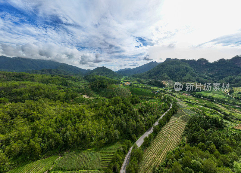 航拍武夷山绿色农田与茶园