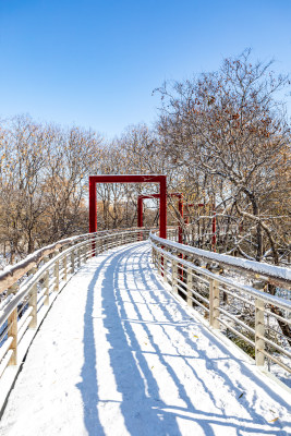 济南泉城公园自然景观雪景