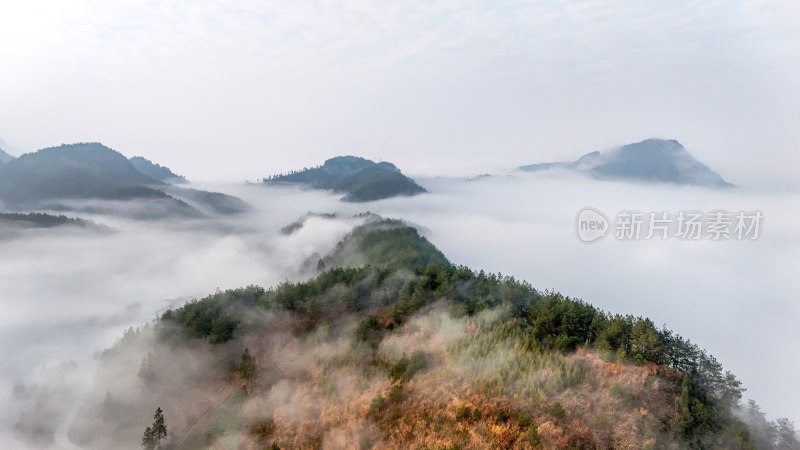 重庆酉阳：月亮村的云端仙境