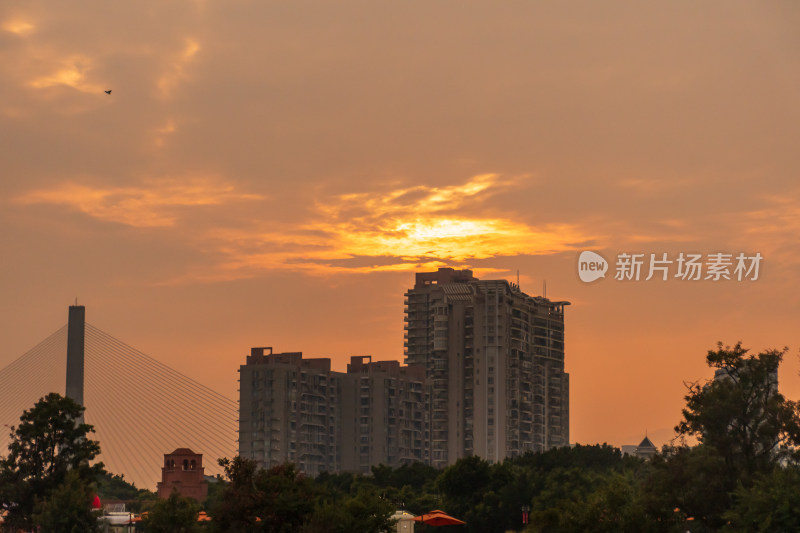 夕阳下城市建筑与桥梁的景象