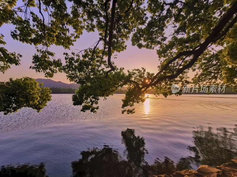 西湖的金色夕阳美景