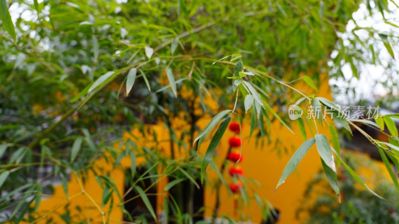 风吹过寺庙的竹枝和红灯笼